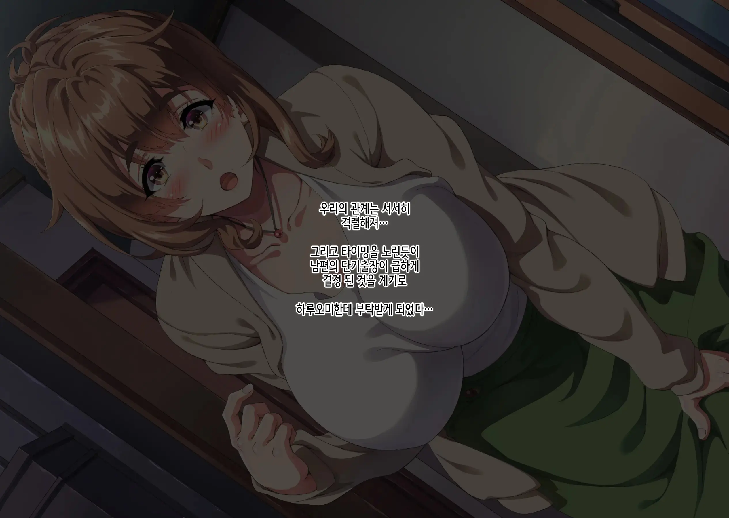 Daisuki Datta Naki Haha Ni Nita Oba To Kurasu Koto Ni Natta Boku Wa | 정말 좋아했던 죽은 엄마와 닮은 숙모와 같이 살게된 나는